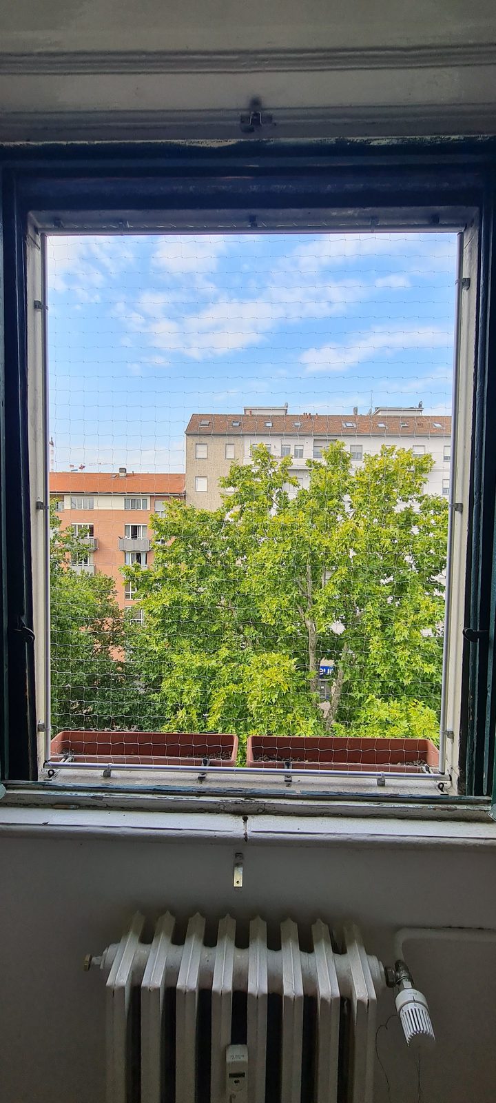 Finestra in legno con rete a maglia fine, sicurezza e discrezione